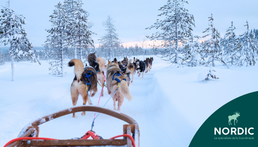Nordic - voyages en Scandinavie 1